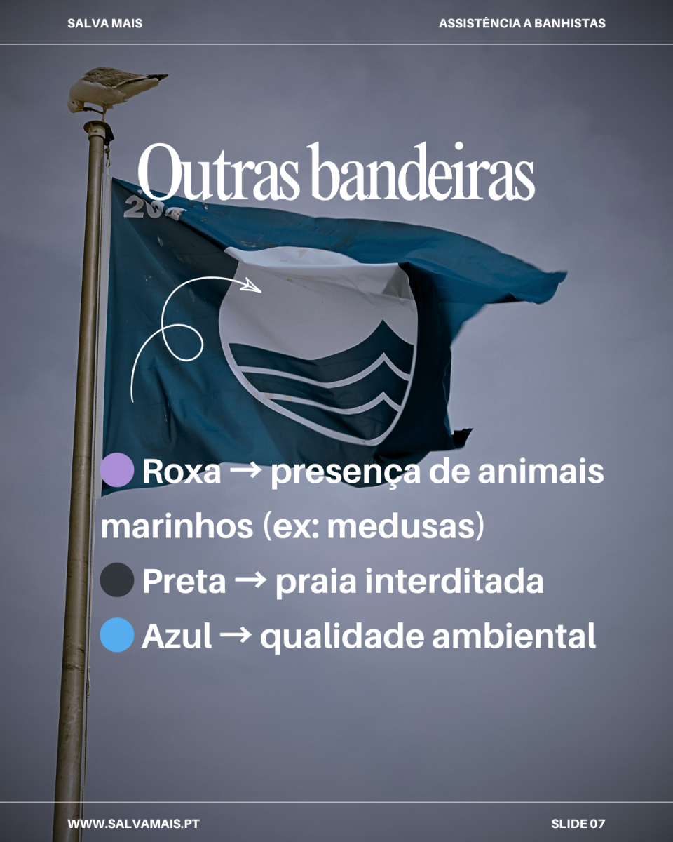 Bandeiras da Praia: significado, cores e como interpretar em segurança